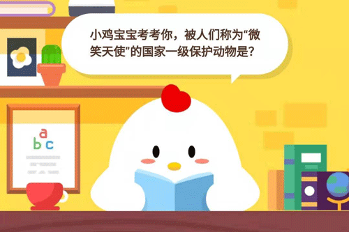小鸡宝宝考考你，被人们称为“微笑天使的”国家保护一级保护动物是？