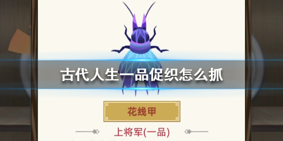 古代人生一品促织怎么抓