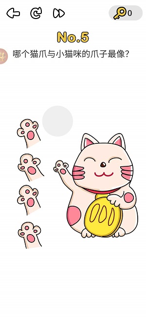 脑洞大师第5关哪个猫爪与小猫咪的爪子最像？
