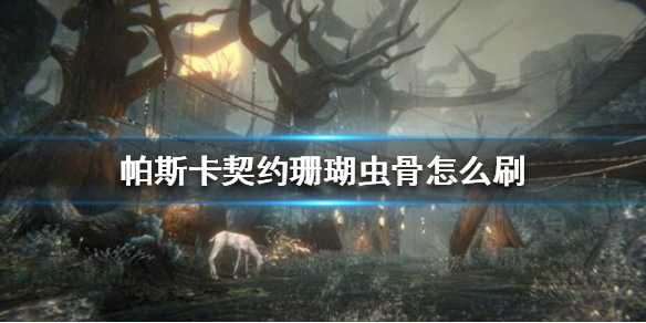 帕斯卡契约珊瑚虫骨怎么获得”