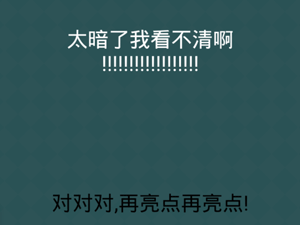 还有这种操作2第15关太暗了我看不清”