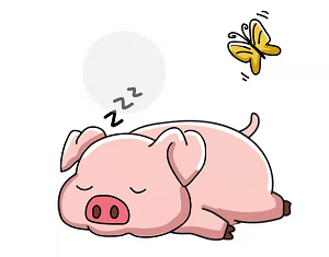 脑洞大师第59关叫醒小猪”