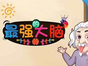 最强的大脑攻略