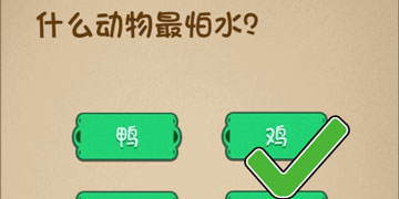 最强的大脑10关什么动物最怕水”
