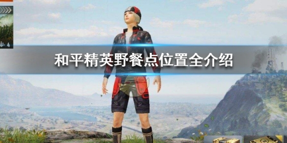 和平精英野餐点位置在哪”