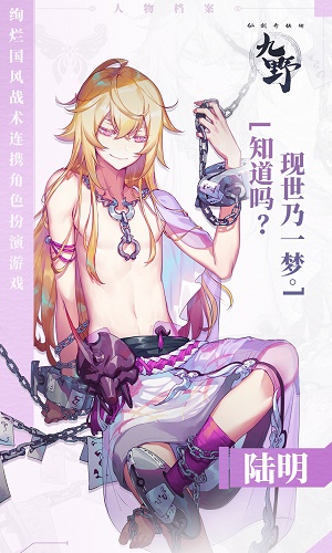 仙剑奇侠传九野陆明怎么样”