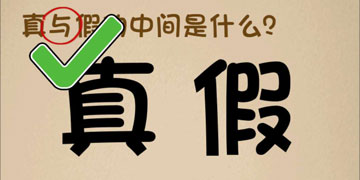 最强的大脑137关真与假的中间是什么”