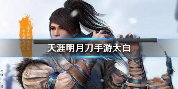 天涯明月刀手游太白怎么样”