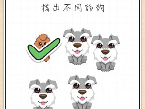 最强大脑急转弯第3关找出与众不同的狗”