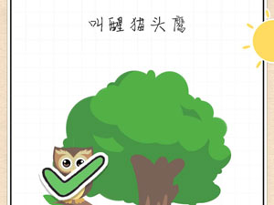 最强大脑急转弯21关叫醒猫头鹰”