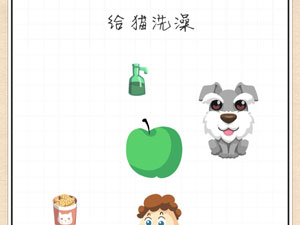 最强大脑急转弯24关给猫洗澡”
