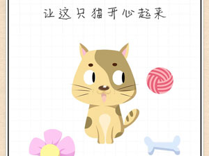 最强大脑急转弯55关让这只猫开心起来”